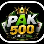 Pak500 Game Download For Pakistan